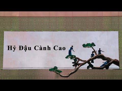 Hỷ Đậu Cành Cao