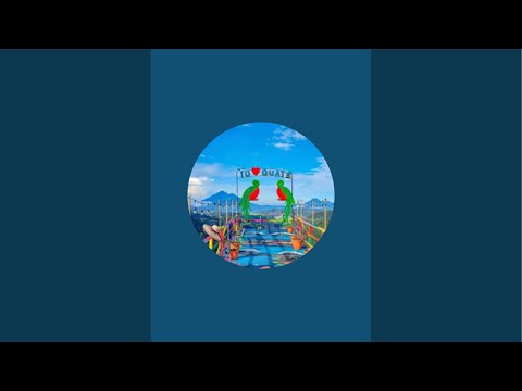 Tipaz  videos  gt está en vivo