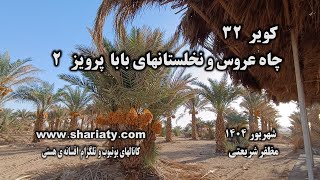 کویر 33  چاه عروس و نخلستانهای بابا پرویز 2