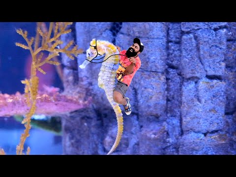 Thailand Sea Life Aquarium Thailand | കടൽ കാഴ്ചകൾ കാണാൻ പോരുന്നോ | M4 Tech |