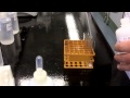 Metal Ions and Precipitation Reactions