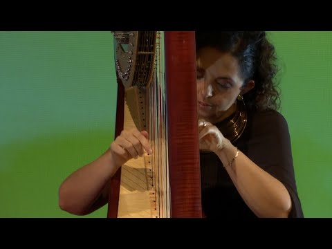 Harp Performance: The Sound of Presence | Claudia Beatrice Zanini | TEDxBergamo