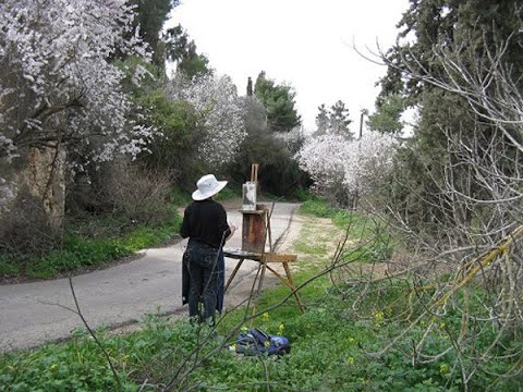 לחצו לצפייה בסרטוון וידאו על המקום