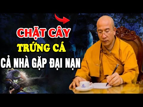 CHẶT CÂY Trứng Cá Cả Nhà Bị ĐẠI NẠN - Hồn Ma Là Có Thật - Thầy Thích Trúc Thái Minh