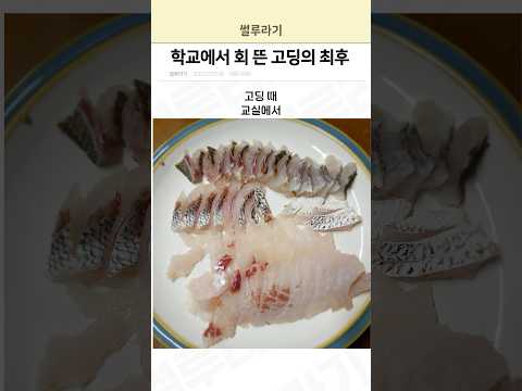 학교에서 회 뜬 고딩의 최후
