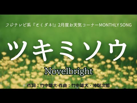 【カラオケ】ツキミソウ／Novelbright【高音質  練習用】