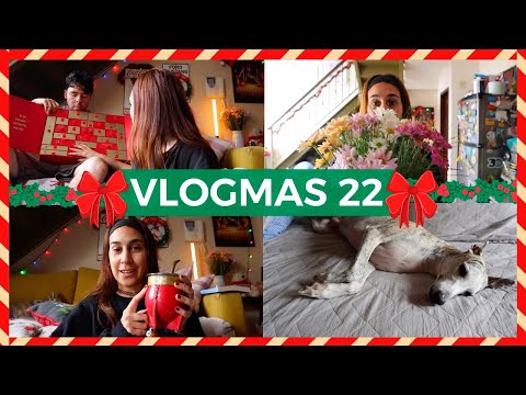 🎄 VLOGMAS 22 🎄 Conflictos VECINALES y el último suspiro del CALENDARIO DE ADVIENTO