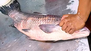 Master Fish Cutter’s Big Carp Cutting Skills – Amazing Knife Work