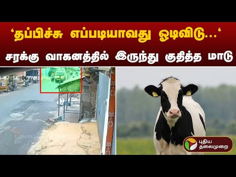 "தப்பிச்சு எப்படியாவது ஓடிவிடு..." - சரக்கு வாகனத்தில் இருந்து குதித்த மாடு | Erode