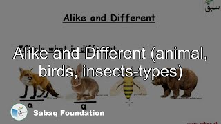 Alike and Different (animal, birds, insects-types)