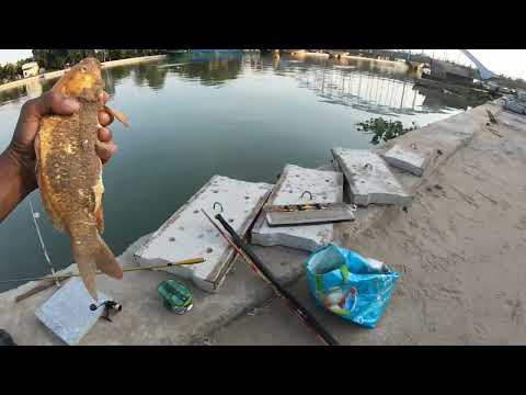 Câu cá sông Đồng Nai chỗ đẹp cá nhiều giật đâu hết tay là có thật. @chautientv