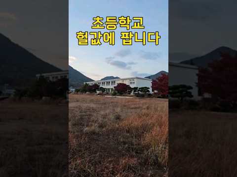 초등학교 폐교되어 또 헐값에 매물로 나왔습니다.땅4,288평,건물7동[땅지통]