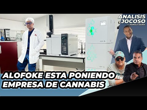 ANALISIS JOCOSO - SEGUN MANOLAY MIRA EL NUEVO NEGOCIO ALFOKE EN MIAMI