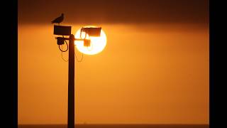 Ocean Beach Living is live!