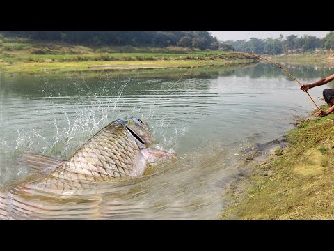 Amazing Big Fish Hook Fishing in River #fishing