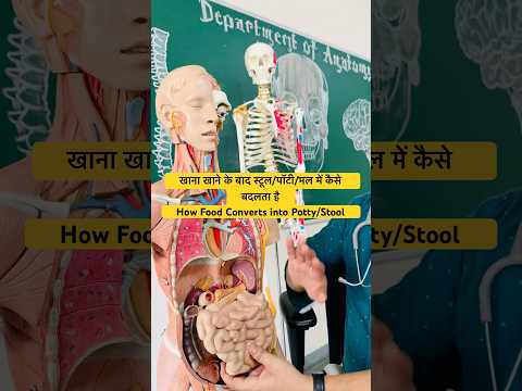खाना खाने के बाद स्टूल/पॉटी/मल में कैसे बदलता है |How Food Converts into Potty/Stool #trendingshorts