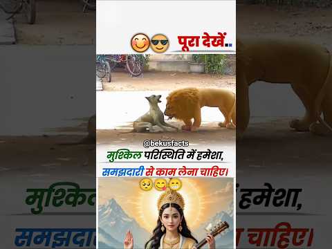इसीलिए मुश्किल परिस्थिति में हमेशा समझदारी से काम लेना चाहिए 😱🥺 | MOTIVATIONAL VIDEO #shorts #trend