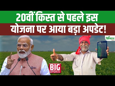 PM किसान से पहले इस योजना परआ गया बड़ा अपडेट, जल्दी करें आवेदन!। Mukhya Mantri Bagwani Bima Yojana
