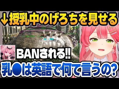 【ホロARK】EN組にげろちの授乳を見せてTKBの英単語を教えてもらうみこち【さくらみこ/星街すいせい/白上フブキ/アキロゼ/AZKi/カリオペ/ハコス/ホロライブ/切り抜き】