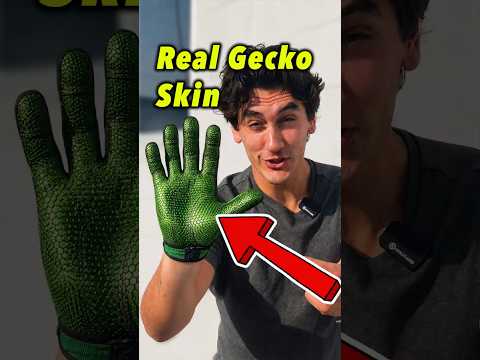 Climbing Walls With Gecko Skin!