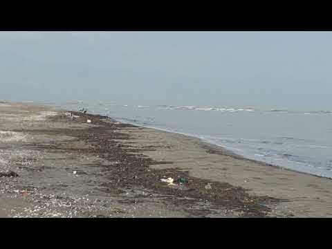 دریا sea side camping 🏕 #cat #campping #campursari #music 