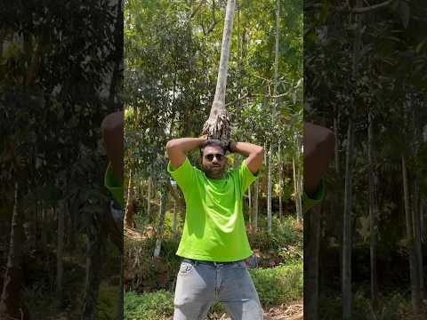 എന്നെ സമ്മതിക്കണം എല്ലേ 😂. #vairalvideo