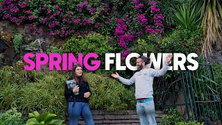 How many FLOWERS are there in FUNCHAL City Center!?
