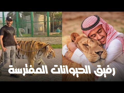هذا الشاب يُبهر الجميع بقدرته على ترويض الحيوانات المُفترسة بطريقة فريدة من نوعها