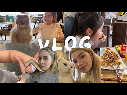 Hafta Sonu Vlogu 🇰🇷 | Kızımla Türk Restoranı, Kedi Cafe, Alışveriş & Evde Kore Tavuk Tarifi!