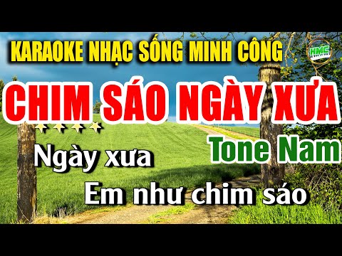 Karaoke Chim Sáo Ngày Xưa Tone Nam Hay Nhất – Tone Nam