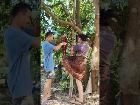 mau ketawa tapi takut dosa #funny #comedyterbaru