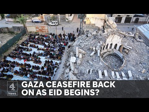 Gaza ceasefire plan may be revived as Israeli strikes continue