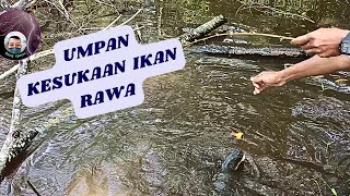JORAN MURAH HASILNYA WAAH
