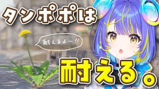 【タンポポは耐える。】科学ゲームと聞いて来ました！！【宙科そぴあ/ホロライブ/アソビ★まわり隊！】