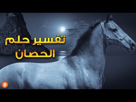 تفسير حلم الحصان - ما معنى رؤية الحصان في المنام ؟ سلسلة تفسير الأحلام