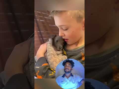 Funny stories about babies and dogs ❤️🥰 | Part 43 | #pet #cat #dog #cute #animals #foryou #typ