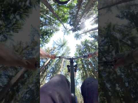 Counting days till the first bikepark laps of this season 🙏 #mtb #bikepark #pov #slopestyle