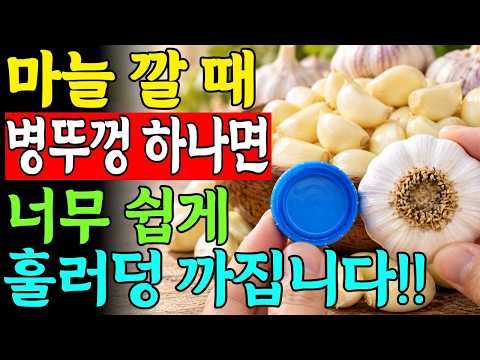 마늘 깔 때 '병뚜껑' 하나만 준비하세요! 손 안 대고 1초 만에 껍질 쏙 벗기는 마늘까기 아주 쉬운 특급 비법 (보약반찬 마늘무침 레시피까지!)