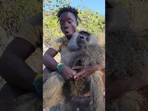 look at the hadzaabe baboon catcher