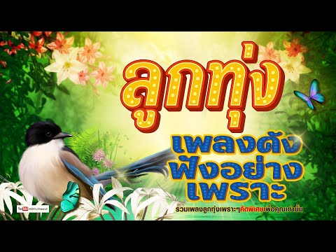 ลูกทุ่ง เพลงดังฟังอย่างเพราะ - รวมเพลงเสียงดี  [ คัดมาพิเศษ ]