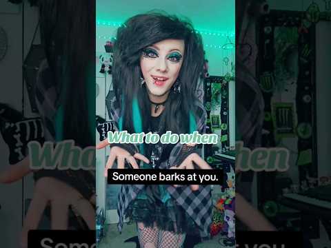 What to do when someone barks at you #Bully #funny #emo