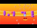 Exploring the Electron Transport Chain in Aerobic Respiration