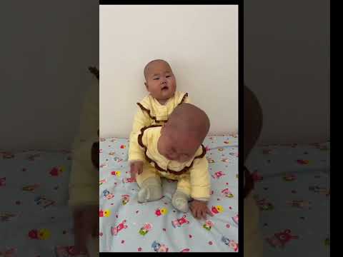 六个多月的铁憨憨，二胖从这个时候就已经看透大哥了😅😅# #骗你生娃系列