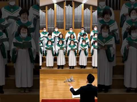 성가대의 새로운 멤버 고양이