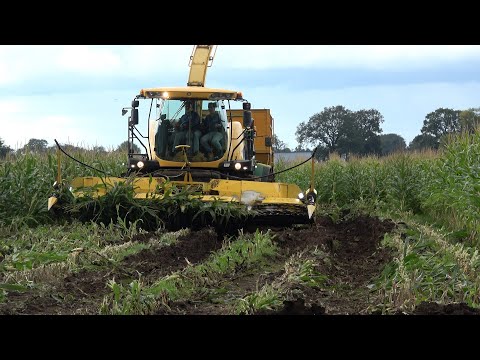 Mais hakselen - een rondje door de modder met een New Holland FR9050 en John Deere 7810 (2024)