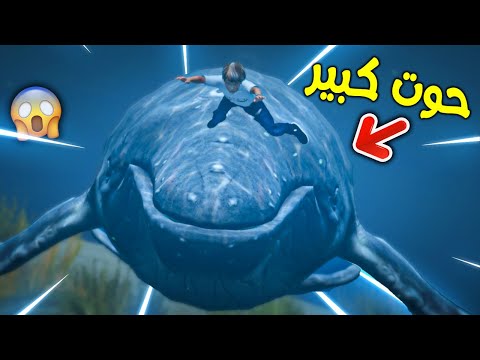 حوت كبير يطاردني !! || قراند 5