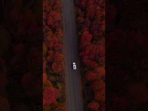 Chile-Patagonia showing off its colours. #patagonia #carretera #carreteraaustral #fallcolors #chile