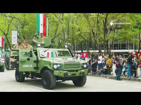 ejercito argentino en la actualidad vs antes