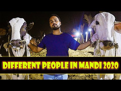 Different People In Mandi 2020 | Comedy Sketch | Faisal Iqbal