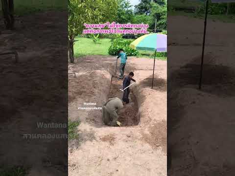 ขุดคลองเลี้ยงปลาใช้ชีวิตแบบพอเพียง #ขุดคลองไส้ไก่ #ขุดคลองเลี้ยงปลา #เกษตรกรรม #canal #nature